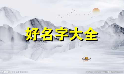 卖丝袜如何起名子好听一点