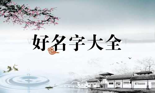 属龙如何起名字和姓字搭配