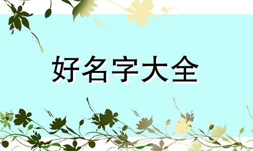 零食直播间如何起名字