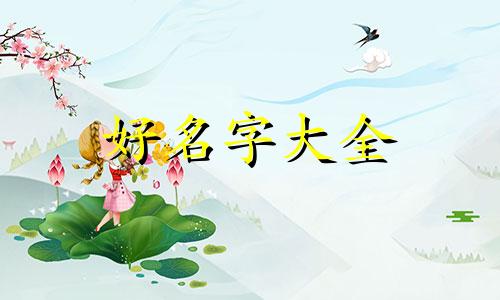如何用数理起名字好听点