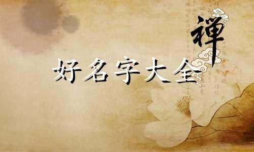 苒字如何起名字男孩子