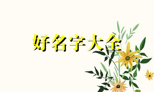 如何给券商起名称好听点