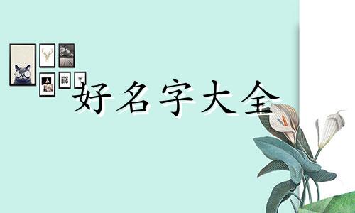 杨姓和何姓的关系如何起名