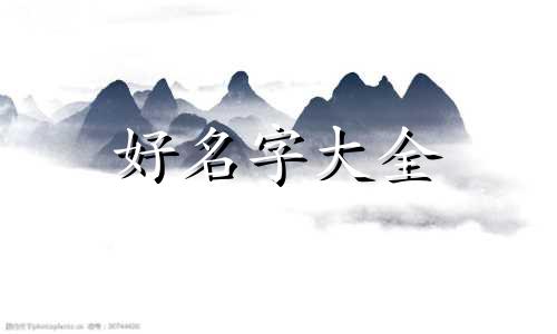 如何给小动物起名子呢英文