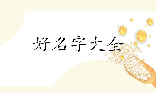 比熊如何起名字大全男狗