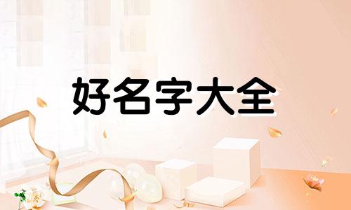 是杨紫粉丝该如何起名字