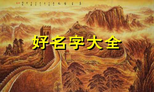 卖水杯如何起名字吸引人