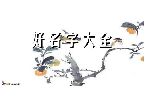 如何给白菜起名字大全好听