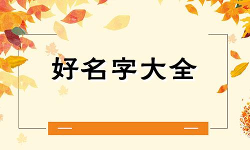 如何用喜神和用神起名子