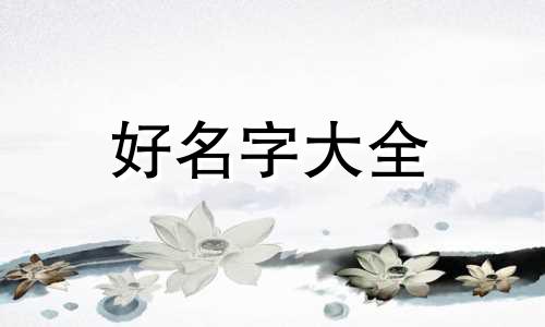 做公众号如何起名字好听点