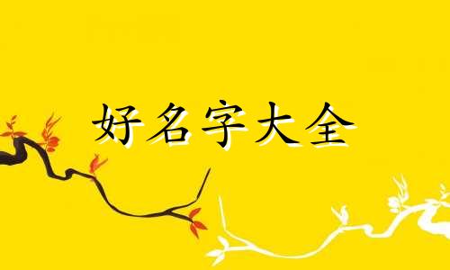 如何给黑色的狗起名字好听