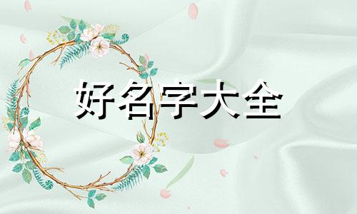 宠物用品如何起名好听一些