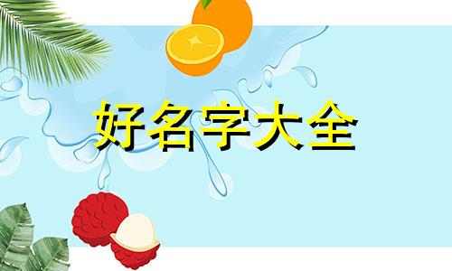 该如何给猫咪起名字呢英文