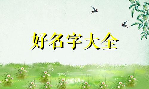 3人房间如何起名字好听的