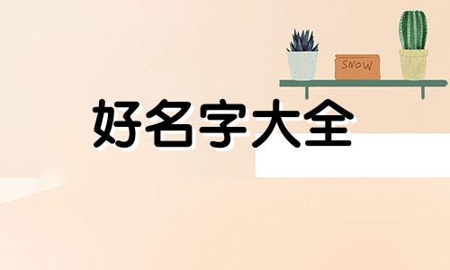 摆地摊卖棉衣如何起名字好听