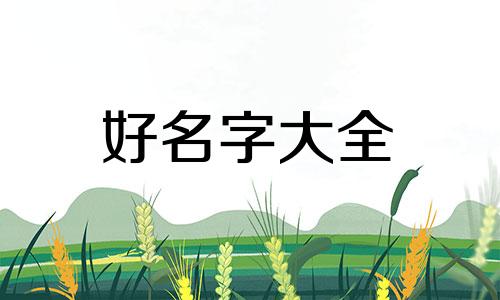 马超如何起名字比较好听