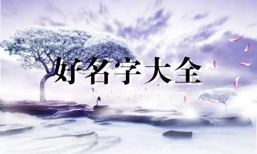 如何给美食节起名子呢女生