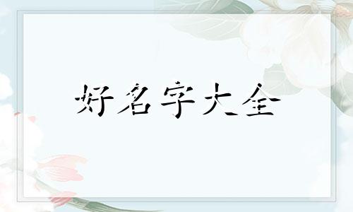 中介人如何起名好听一点