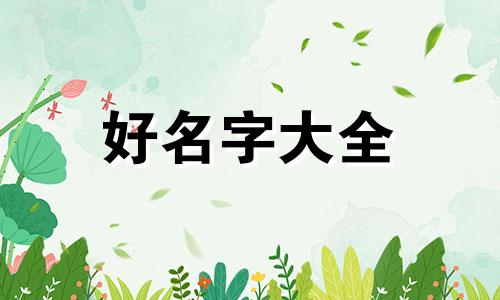 白色泰迪如何起名字呢男生