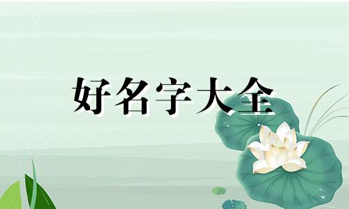 属火木如何起名字好听点