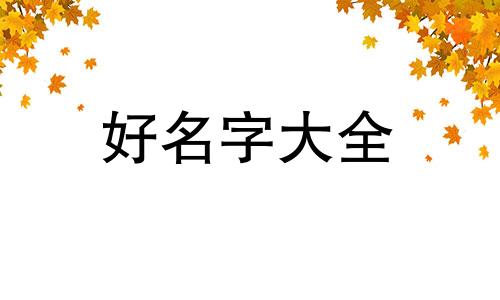 男生姓王该如何起名字好听