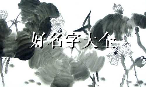 芷字如何起名女孩子的名字