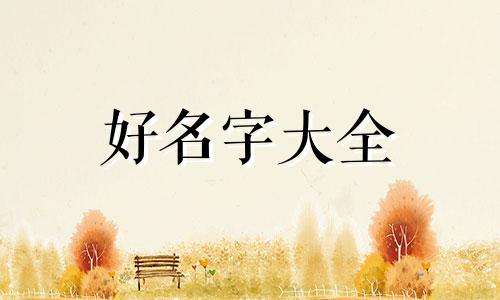 如何给小学篮球队起名字