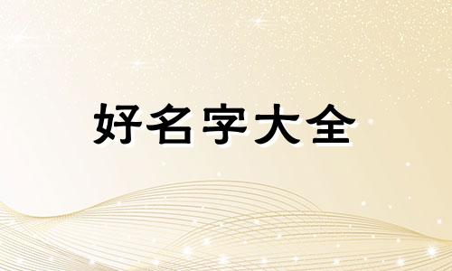 如何给飞船起名称英文版