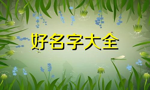 如何取名诗经起名字男孩