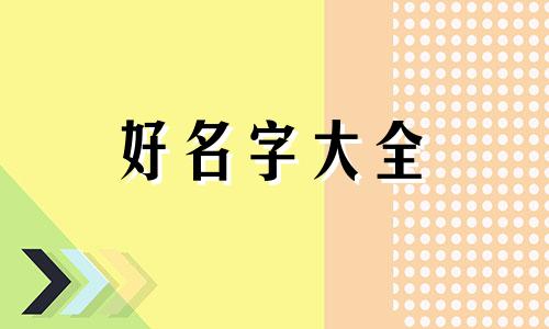如何帮家狗起名字大全可爱