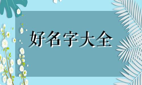 养猫如何起名字好听一点