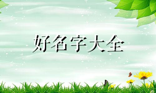 贺峻霖如何起名字的视频