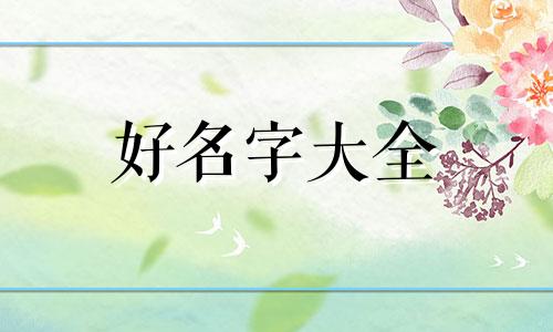 如何给斗鱼起名字女的可爱