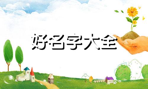 平面设计如何起名字好听