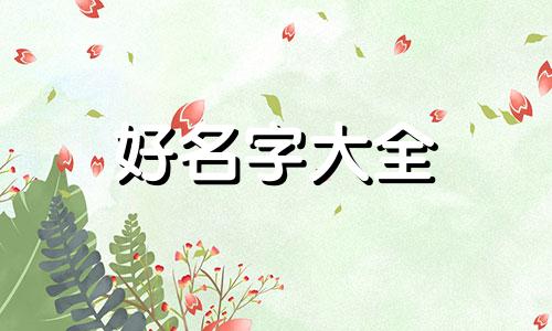 职场类博主如何起名字呢