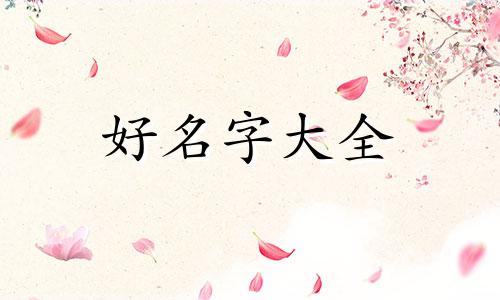 六只猫如何起名好听的名字