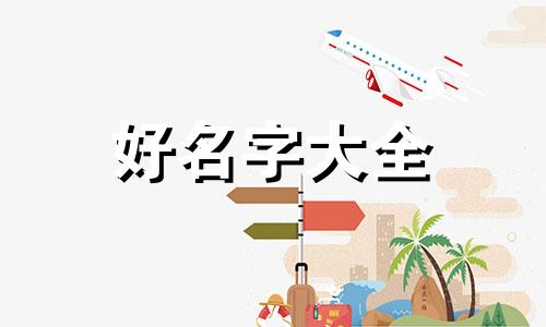 如何给鲲起名字好听的视频