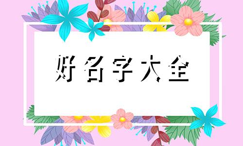 如何给萌宠起名网名女宝宝