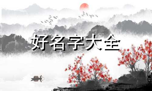 比熊如何起名字可爱点的