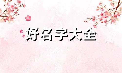 小白兔如何起名字的视频