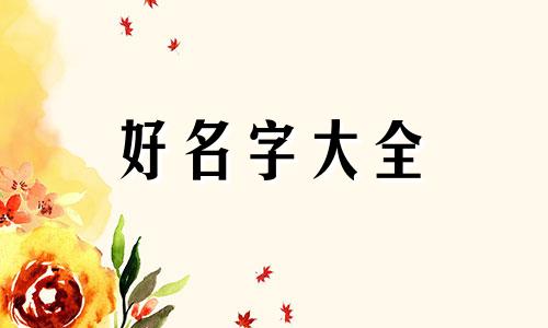 食品机械厂如何起名字