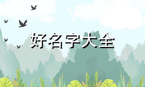 非遗纪录片如何起名字