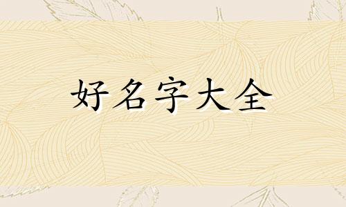 如何给小豚鼠起名字更好听