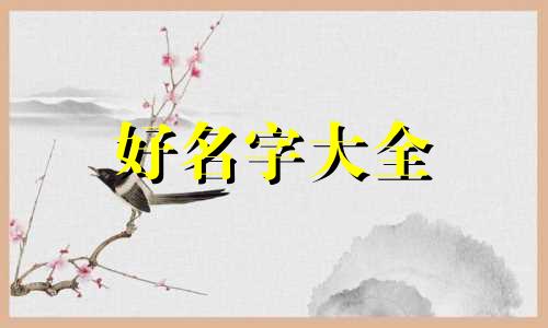 荣康起名字如何取好看男孩