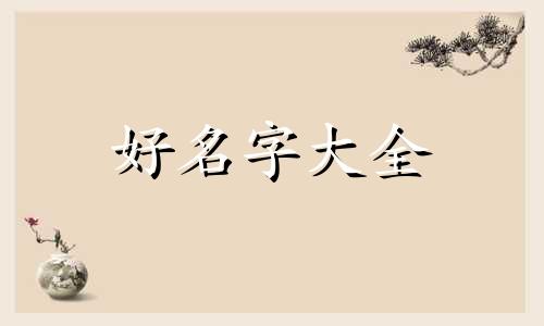 如何给皮卡丘起名英文名