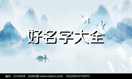 新养的猫咪如何起名字好听