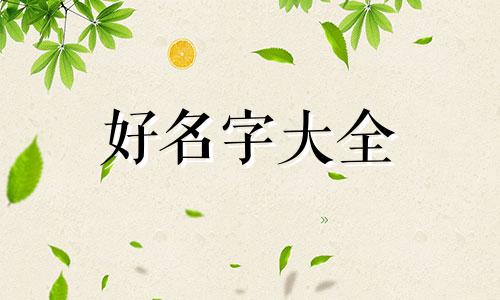 韩国公司如何起名好听一点