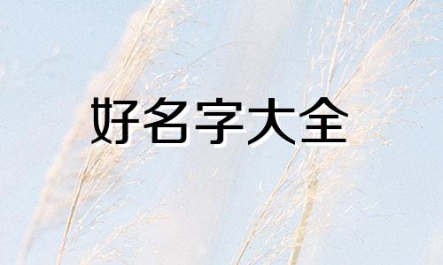 姓何兔宝宝如何起名字好听