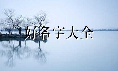 如何做电动车店铺起名