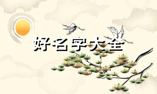 起名李佳程打几分五格如何